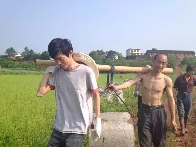 青春是用來奮斗的，除甲醛的青春最美麗！