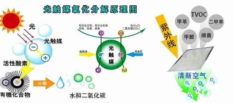 除甲醛常用方法，專家告訴你哪些有用