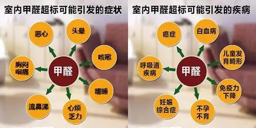 畢業(yè)季&租房季 清楚這幾點(diǎn)就能避開(kāi)甲醛超標(biāo)公寓