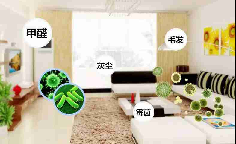 網上的除甲醛好辦法真的有效嗎？原理是什么
