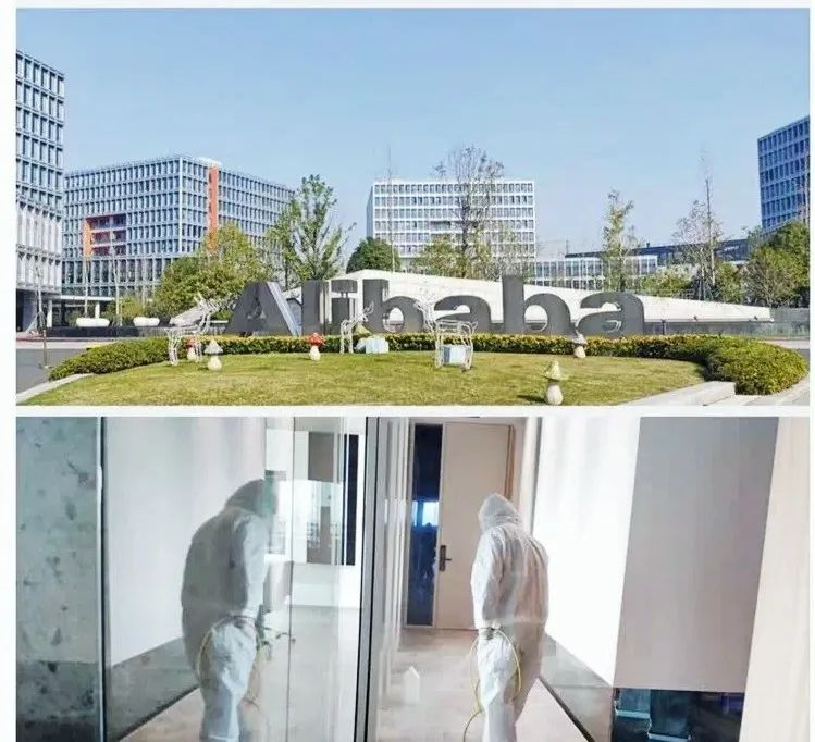 吾志所向，一往無前 | 創綠家2020年大事記