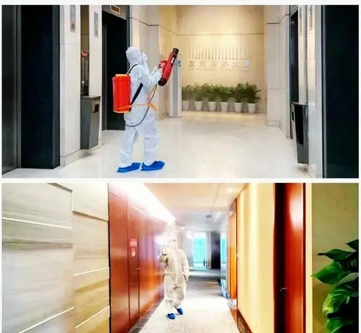 吾志所向，一往無前 | 創綠家2020年大事記