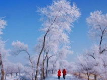 如何解決冬季室內(nèi)和車內(nèi)環(huán)境污染問題的問題呢？