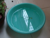 裝修完僅靠?jī)膳枥渌湍艹兹窟@個(gè)說(shuō)法連網(wǎng)友都出來(lái)辟謠！大家別再相信了！