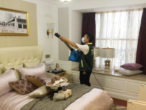 除甲醛公司哪家好，創綠家更專業