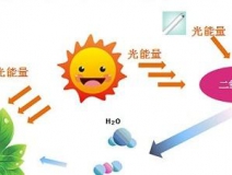 無光觸媒和光觸媒有什么區別？