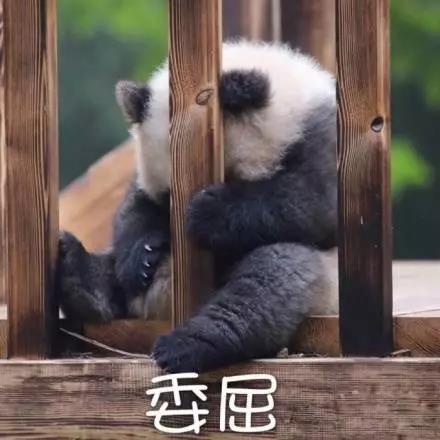 別大意！七大除甲醛“誤區”，信了你反而會生??！通風、綠植、活性炭、熏蒸……你中招了嗎？