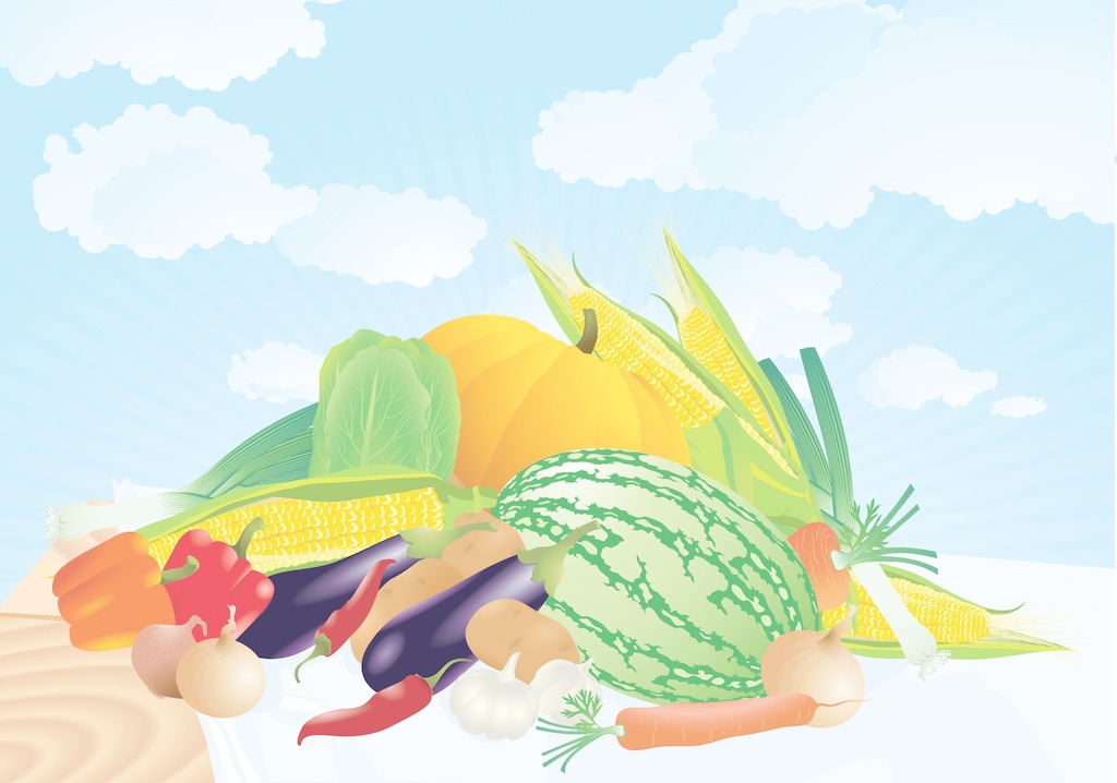 夏季找除甲醛公司有哪些需要注意的？